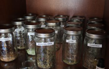 Medical Actions of Herbs — Terminology You Need to Know