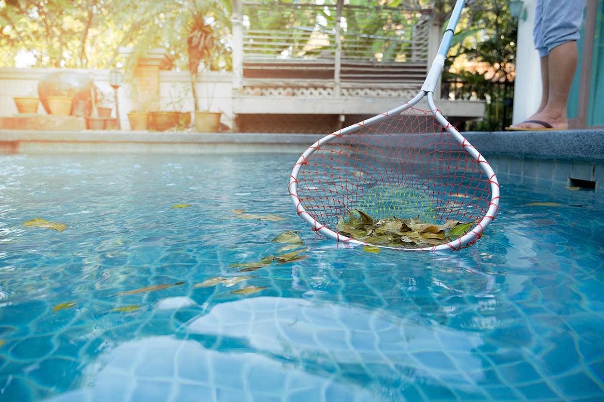 Best Ways To Clean And Vacuum Your Pool The Modern Day S Housewife